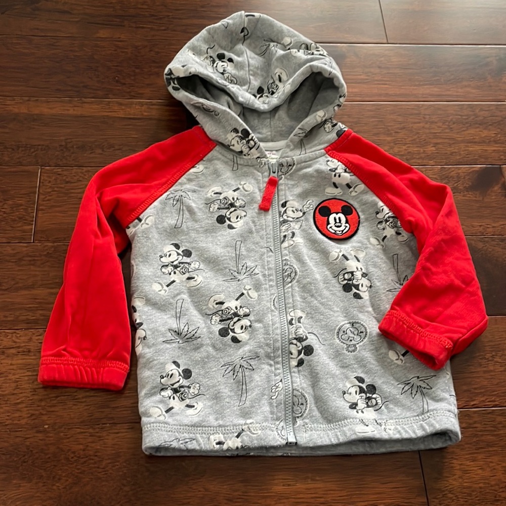 Size 85 (2t) Hanna Andersson Sweatshirt